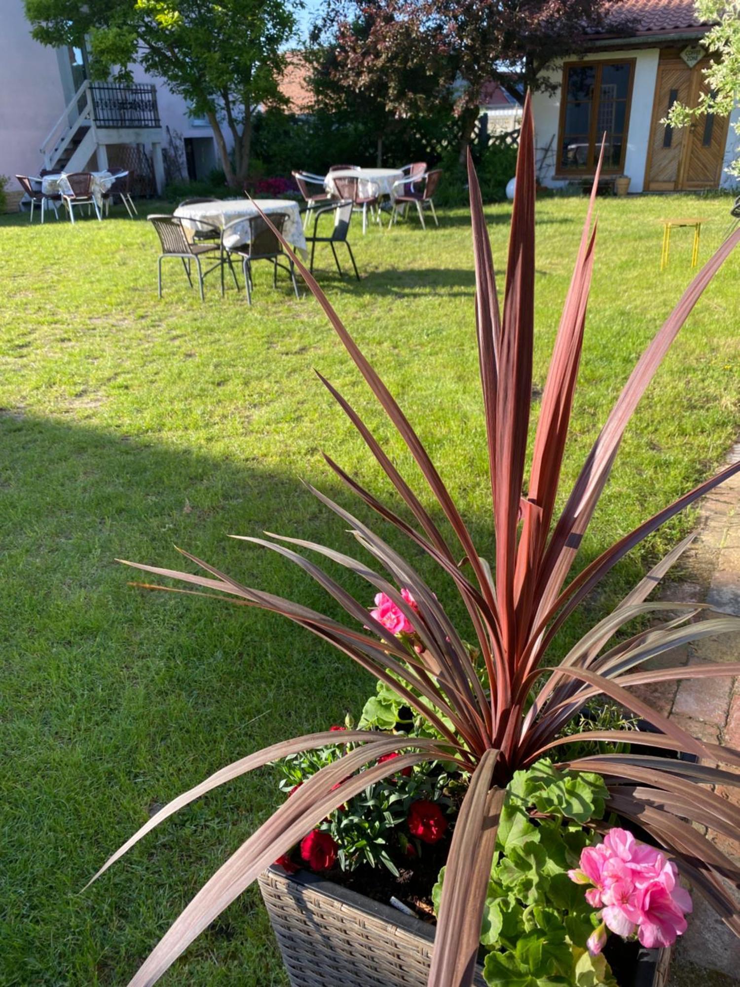 Guest House Wiejska Sielanka Brody  ภายนอก รูปภาพ