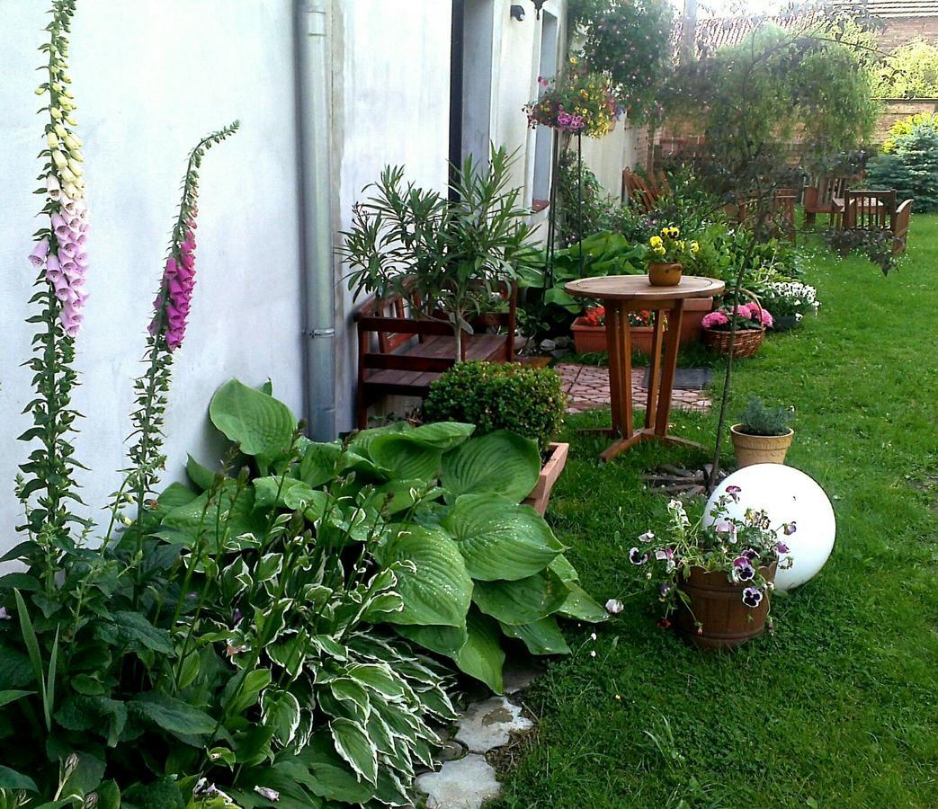 Guest House Wiejska Sielanka Brody  ภายนอก รูปภาพ